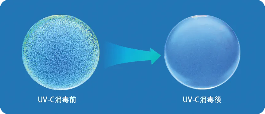 UV−C消毒前後の照合