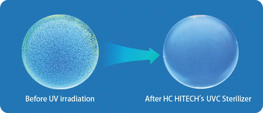 Before UV irradiation, After HC HITECH's UVC Sterilizer
