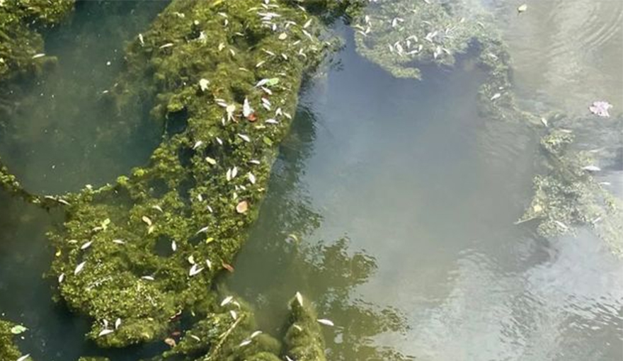 Technological Integration: Safeguarding Against the “Invisible Dangers” in Water